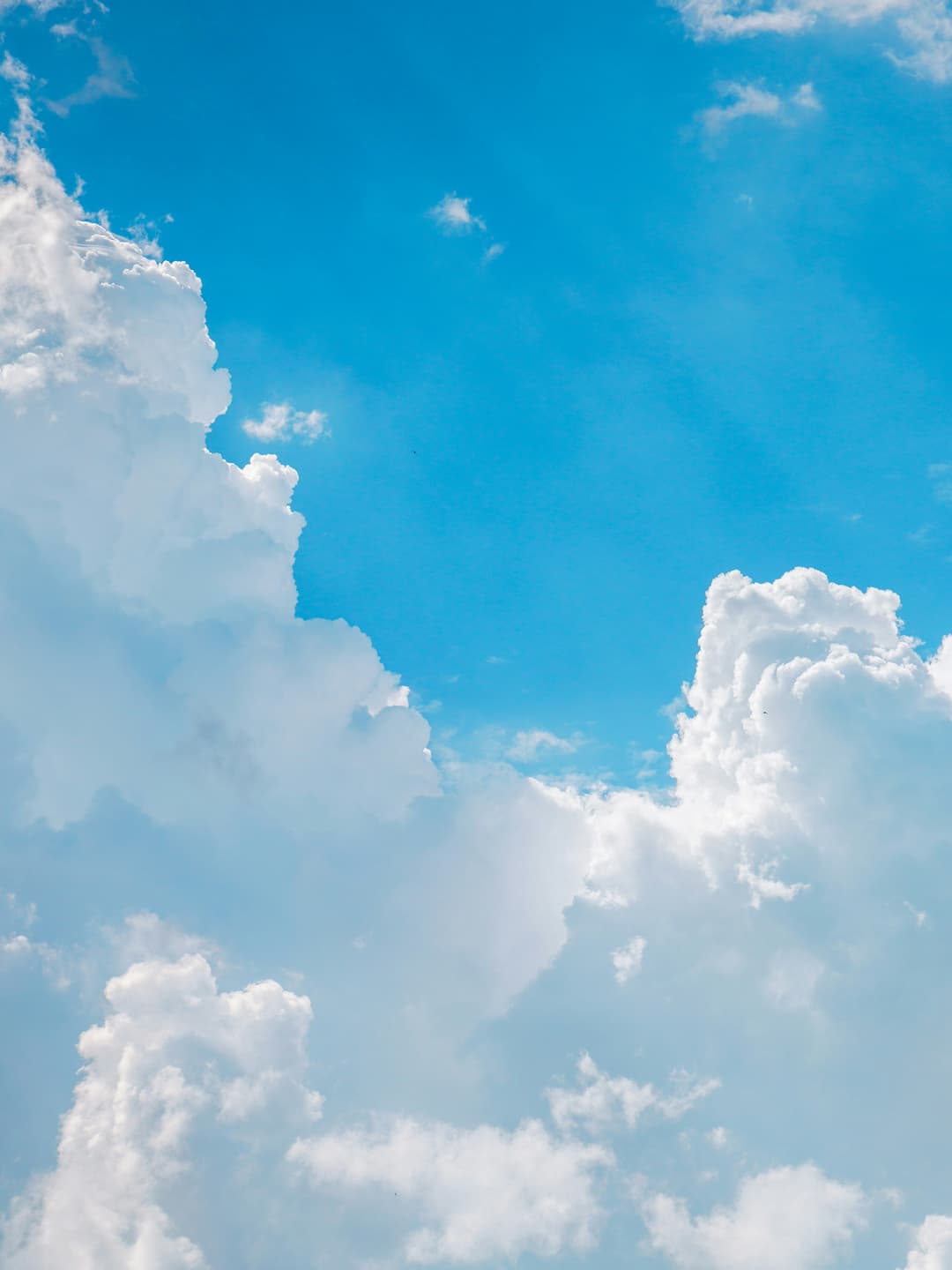 Safeguard your life’s work, wishes, and values for the years ahead